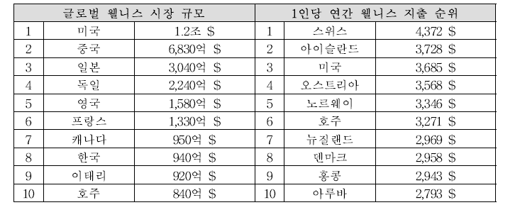 글로벌 웰니스 시장 규모