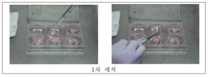 시험물질 1차 세척과정