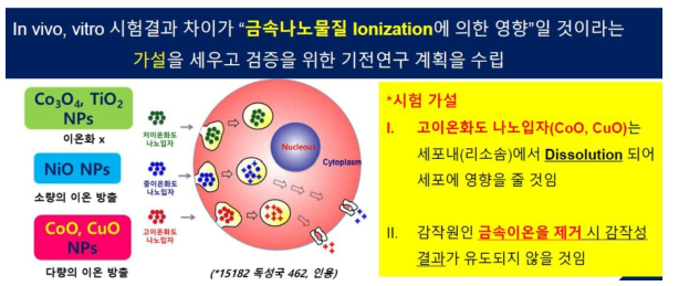 세포 내 용해도에 따른 나노물질의 분류