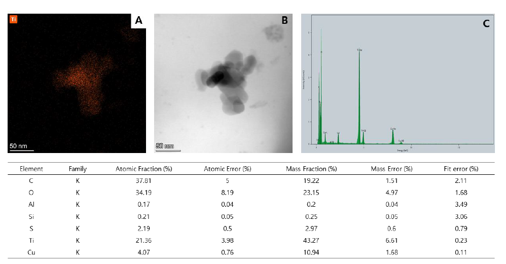 인공피부조직 내 TiO2 나노물질. A: TEM image B: TEM mapping C: TEM EDS point