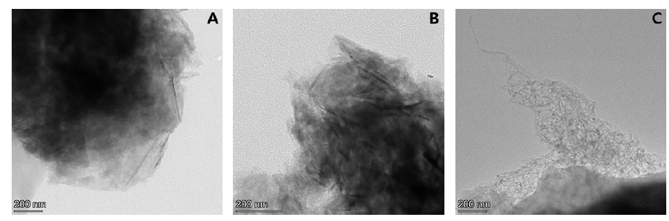 인공피부조직 내 탄소계 나노물질 TEM image. A:GNP300, B:GNP500, C: MWCNT