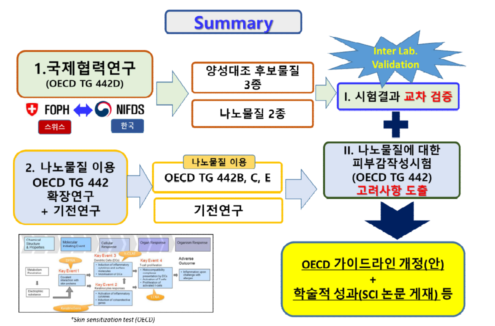 국제협력 연구의 개요도