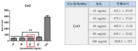 CoO 나노입자의 최고농도(100% w/v) 선정