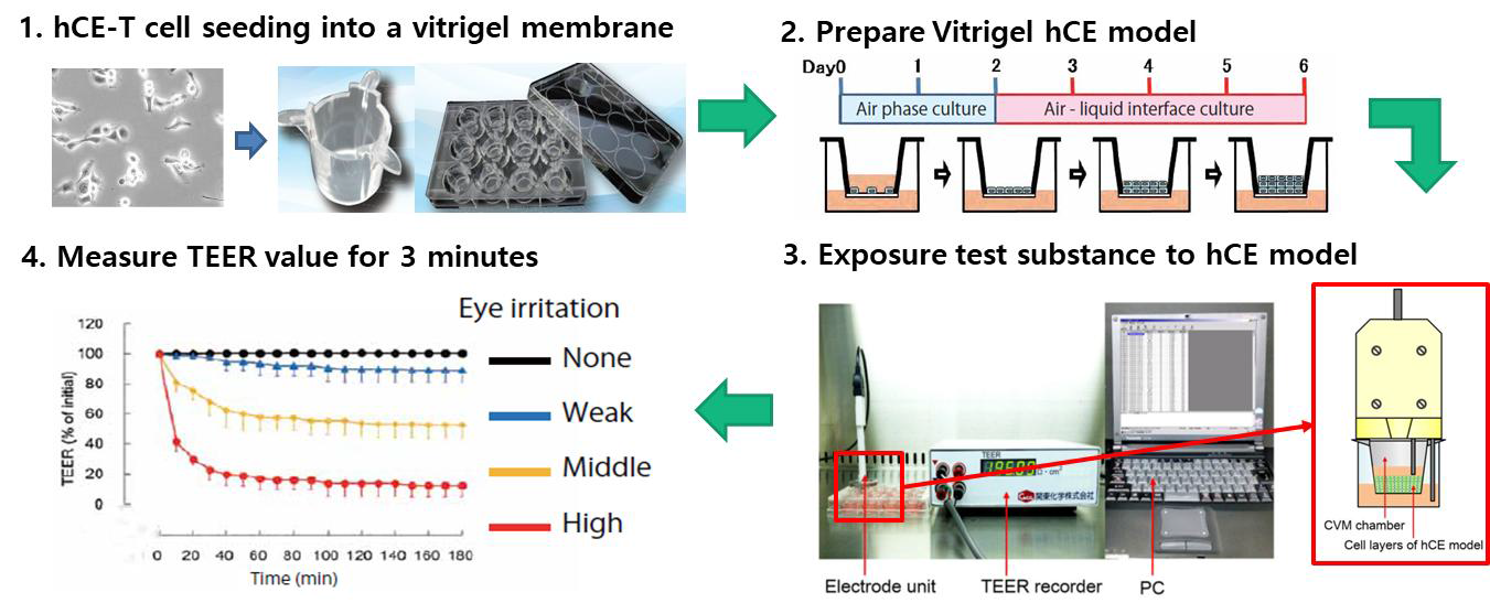 Vitrigel을 이용한 안자극 시험법 개요