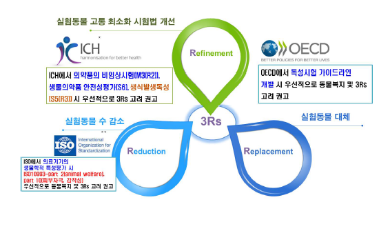 국제기구의 동물복지 및 3Rs 원칙