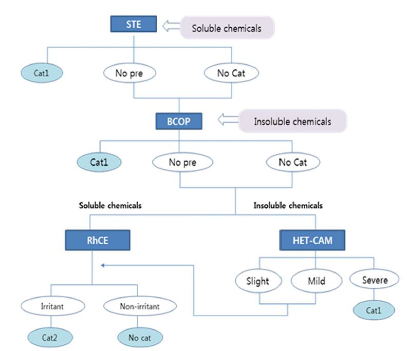 STE, BCOP, HET-CAM, RhCE (EpiOcularTM) 시험법을 이용한 통합독성평가 단계적 접근법 모식도 (Ko et al., 2020)