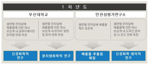 1차년도 연구 개발 내용 및 범위