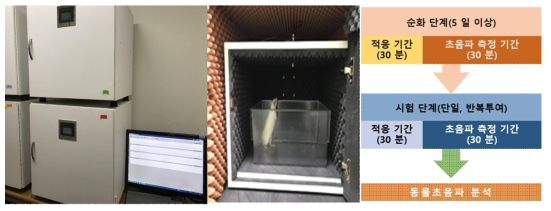 동물초음파 평가 시험 장비와 시험일정