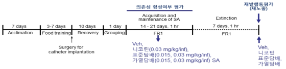 자가투여 행동 측정 실험 일정