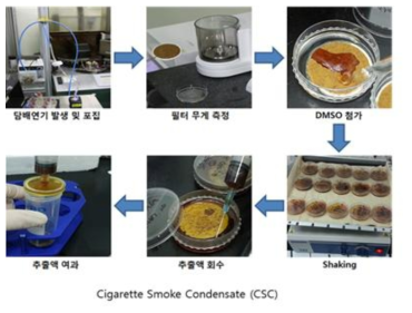 CSC의 제조 방법