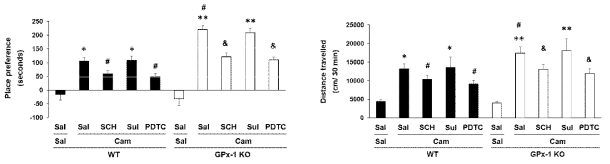 야생형 생쥐 (WT)와 GPx-1 유전자 결핍 생쥐 (GPx-1 KO)에서 camfetamine (Cam) 투여로 조건 장소선호도와 행동민감화의 변화. Sal, Saline. SCH, SCH23390. Sul, Sulpiride. 각 수치는 6 마리의 평균 ± 표준오차임. *P<0.05, **P<0.01 vs. Corresponding Saline; #P<0.05 vs. Camfetamine/WT; &P<0.05 vs. Camfetamine/GPx-1 KO (Two-way ANOVA followed by PLSD test)