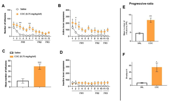 Cocaine의 자가투여시험 Cocaine (0.75 mg/kg/infusion) was self-administered by ICR mice (n = 6-10/group). (A) Active lever response (B) number of infusion in FR schedule COC, cocaine; FR, fixed ratio