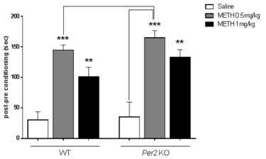 Methamphetamine의 조건장소선호도시험 Methamphetamine (0.5  KO, knockout mice; WT, wild type mice