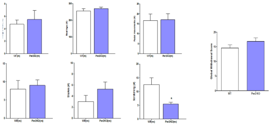 Methamphetamine의 금단증상 Global indexes of METH withdrawal. Global withdrawal scores were calculated for each animal as previously described (Maldonado et al. 1996; Perreau-Lenz et al. 2010). The range of possible scores from 0 to 10 for the entire observation time was used to calculate the global withdrawal scores for each animal. ** P < 0.01, significantly different than WT (Bonferroni posttests). KO, knockout mice