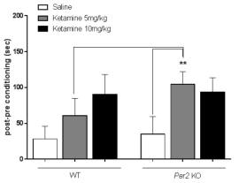 Ketamine의 조건장소선호도시험 Ketamine (5  WT, wild type mice