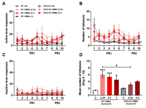 Per2 KO 생쥐에서 PMMA 자가투여시험. Mice were subjected to a 10-day SA test, 2 h/day, under the FR1 schedule for the first 7 days and FR2 for the next 3 days, 0.05 and 0.3 mg/kg/inf PMMA. (A) Active lever responses, (B) number of infusions, (C) inactive lever responses, (D) mean number of infusions during the 4thto 10thsession of SA. n = 6 – 10. Values are mean ± S.E.M. ***p < 0.001 (vs SAL)