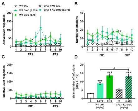 GPX-1 KO 생쥐에서 Larocaine 자가투여시험 Mice were subjected to a 10-day SA test, 2 h/day, under the FR1 schedule for the first 7 days and FR2 for the next 3 days, with 0.375 mg/kg/infDMC. (A) Active lever responses, (B) number of infusions, (C) inactive lever responses, (D) mean number of infusions during the 4thto 10thsession of SA. n = 5 – 18. Values are mean ± S.E.M. *p < 0.05, **p < 0.01, ***p < 0.001 (vs SAL) and #p < 0.05 (vs WT)