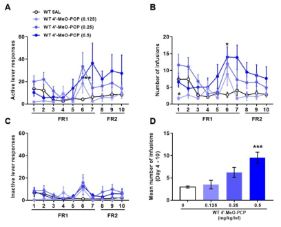 4-MeO-PCP 자가투여시험 . Mice were subjected to a 10-day SA test, 2 h/day, under the FR1 schedule for the first 7 days and FR2 for the next 3 days, with 0.125, 0.25, and 0.5 mg/kg/inf4’-MeO-PCP. (A) Active lever responses, (B) number of infusions, (C) inactive lever responses, (D) mean number of infusions during the 4thto 10thsession of SA. n = 6 – 18. Values are mean ± S.E.M. *p < 0.05, **p < 0.01, ***p < 0.001 (vs SAL)