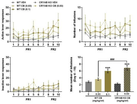 Cryab KO 생쥐에서 CB-18 자가투여시험 Mice were subjected to a 10-day SA test, 2 h/day, under the FR1 schedule for the first 7 days and FR2 for the next 3 days, with 0.03 and 0.1 mg/kg/infCB-13. (A) Active lever responses, (B) number of infusions, (C) inactive lever responses, (D) mean number of infusions during the 4thto 10thsession of SA. n = 7 – 11. Values are mean ± S.E.M. ***p < 0.01 (vs VEH) and ###p < 0.001 (vs WT)