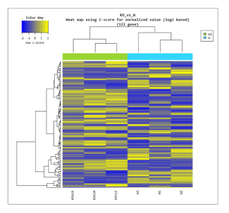 Heatmap