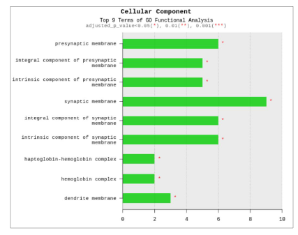 GO analysis-Cellular compartment