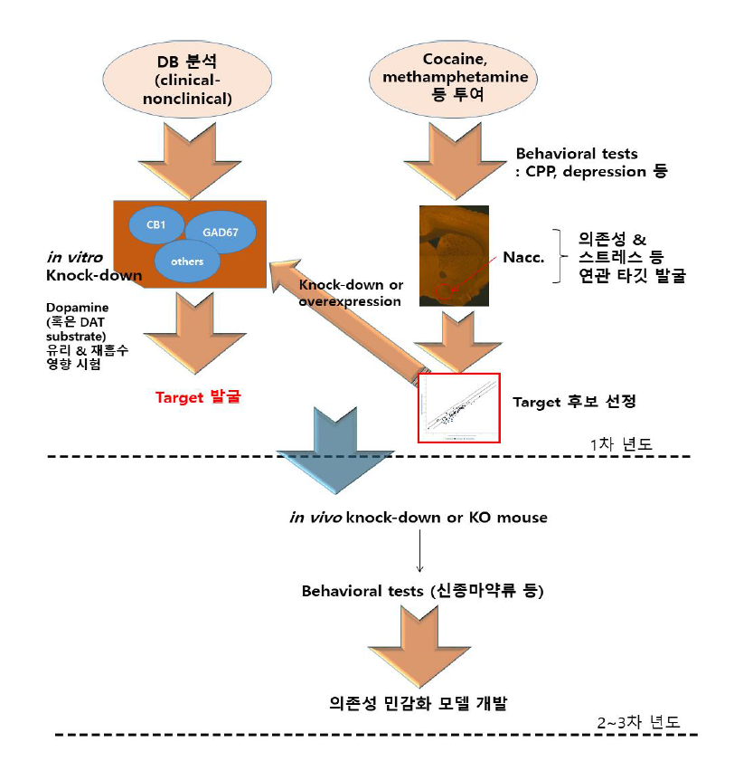 연차별 연구개발 내용