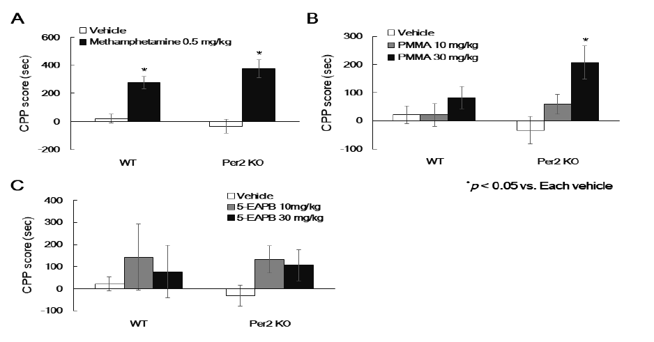 Effect of Per2 gene on amphetamine liked drug-induced CPP score. The CPP tests were performed as methods section by using (A) methamphetamine (0.5 mg/kg, i.p.), (B) PMMA (10, 30 mg/kg, i.p.), and (C) 5-EAPB (10, 30 mg/kg, i.p.) in Per2 KO mice. Data are expressed as the mean ± S.E. (n = 4-10 for each group). Per2: Period circadian protein 2; CPP: conditioned place preference; KO: knockout; WT: wild-type