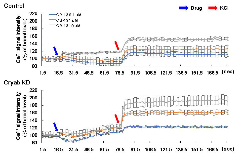 Ca2+ signal intensity by CB-13 in PC12 cells. The Ca2+ signal intensity was performed as methods section by using CB-13(0.1, 1, 10 μM) in PC12 and Cryab KD PC12 cells. Data are expressed as the mean ± S.E. (n = 6 for each group) Cryab: alpha-crystallin B; KD: knock down