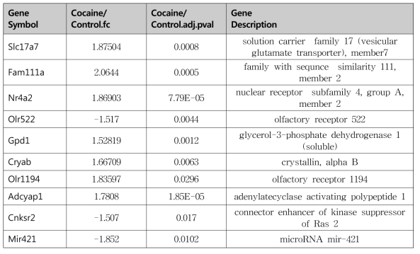 Cocaine 처리에 의한 유전자 변화