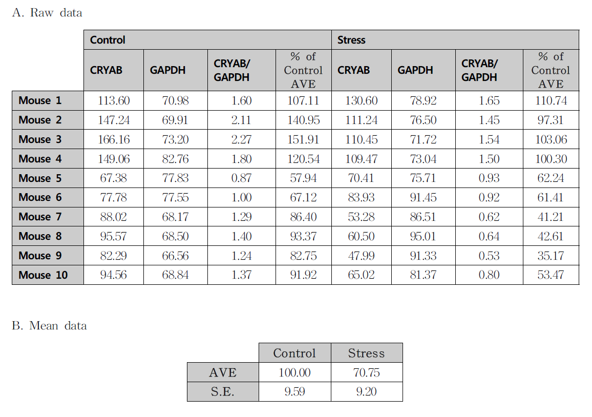 선조체에서 구속스트레스에 의한 CRYAB 단백질 발현량 변화