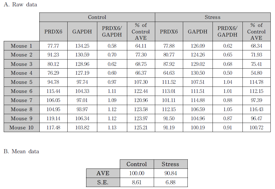 선조체에서 구속스트레스에 의한 PRDX6 단백질 발현량 변화