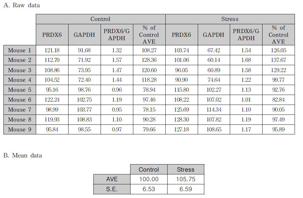 측좌핵에서 구속스트레스에 의한 PRDX6 단백질 발현량 변화