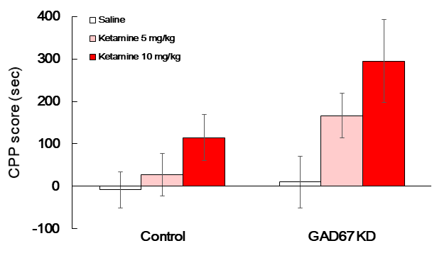 Effect of ketamine on conditioned place preference test. The mice were treated with either a negative control vector or CRISPR/Cas9 GAD67 gRNA vector (0.4 μg/1.5 μL, striatal injection) once, and then CPP test was performed as methods section by using saline or ketamine (5 mg/kg, i.p.) after 7 days from striatal injection day. Data are expressed as the mean ± S.E. (n=7-11 for each group, Two-way ANOVA followed by Holm-Sidak post-hoc method). CPP: Conditioned place preference. KD: Knockdown