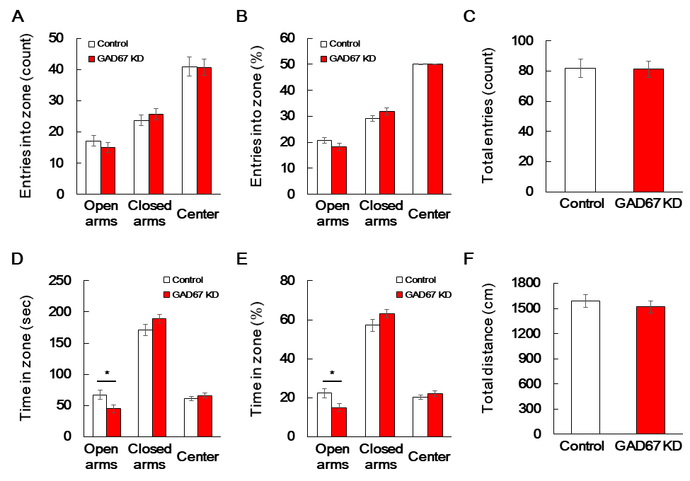 Effect of GAD67 knockdown on elevated plus-maze test. The mice were treated with either a negative control vector or CRISPR/Cas9 GAD67 gRNA vector (0.4 μg/1.5 μL, striatal injection) once, and then EPM test was performed as methods section after 20 days from striatal injection day. Data are expressed as the mean ± S.E. (n=9-12 for each group, Student's t-test, *p<0.05). EPM: Elevated plus-maze. KD: Knockdown