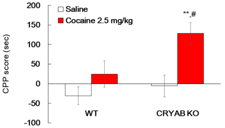 Effect of cocaine on the conditioned place preference. The CPP test was performed as methods section by using negative control (saline, i.p.) or cocaine (2.5 mg/kg, i.p.). Data are expressed as the mean ± S.E. (n=9-12 for each group, Two way ANOVA, **p<0.01 vs CRYAB KO/Saline group, #p<0.05 vs WT/Cocaine group). CPP: Conditioned place preference. WT: Wild-type. KO: Knockout