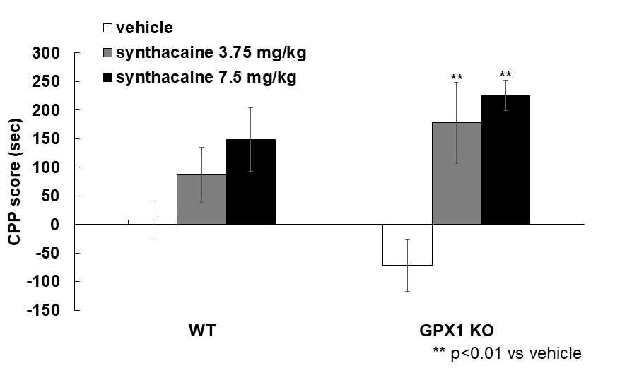 Effect of camfetamine on conditioned place preference test. The CPP test was performed as methods section by using negative control (saline, i.p.) or camfetamine (3.75, 7.5 mg/kg, i.p.). Data are expressed as the mean ± S.E. (WT mice vehicle n=18, camfetamine 3.75 mg/kg n=8, camfetamine 7.5 mg/kg n=7; GPX1 KO mice vehicle n=13, camfetamine 3.75 mg/kg n=7, camfetamine 7.5 mg/kg n=11, two away ANOVA and Holm-sidak test, **p<0.01 vs. vehicle group). CPP: Conditioned place preference