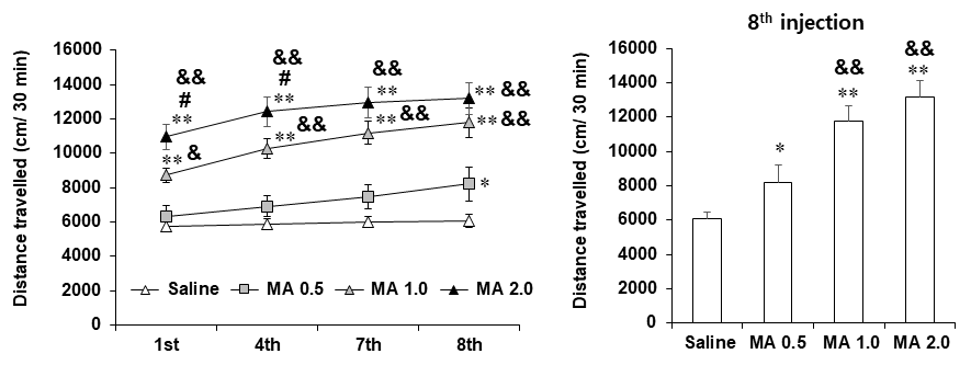 야생형 생쥐 (C57BL/6 생쥐)에서 메트암페타민 투여 후 자발운동량의 변화. MA 0.5, 1.0 or 2.0 = 메트암페타민 0.5, 1.0 or 2.0 mg/kg, i.p. 각 수치는 10-20 마리의 평균 ± 표준 오차임. *P<0.05, **P<0.01 vs. Saline;  #P<0.05 vs. MA 1.0 (Two-way or one-way ANOVA followed by PLSD test)