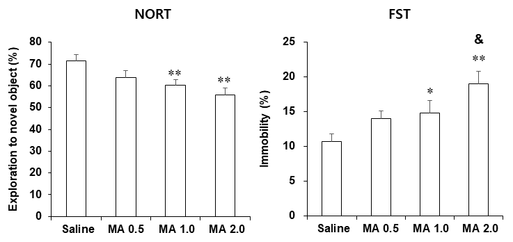 야생형 생쥐 (C57BL/6 생쥐)에서 메트암페타민 투여 후 나타나는 인지기억능 저하 및 우울증상 평가. NORT = novel object recognition test. FST = forced swimming test. MA 0.5, 1.0 or 2.0 = 메트암페타민 0.5, 1.0 or 2.0 mg/kg, i.p. 각 수치는 10~17 마리의 평균 ± 표준오차임. *P<0.05, **P<0.01 vs. Saline; &P<0.05 vs. MA 0.5 (One-way ANOVA followed by PLSD test)