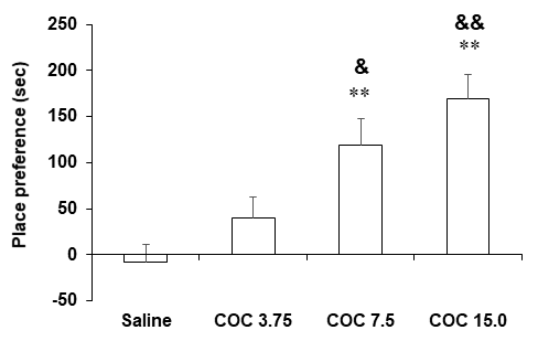 야생형 생쥐 (C57BL/6 생쥐)에서 코카인 투여 후 조건장소선호도의 변화. COC 3.75, 7.5 or 15.0 = 코카인 3.75, 7.5 or 15.0 mg/kg, i.p. 각 수치는 8~15 마리의 평균 ± 표준오차임. **P<0.01 vs. Saline; &P<0.01, &&P<0.01 vs. COC 3.75 (One-way ANOVA followed by PLSD test)