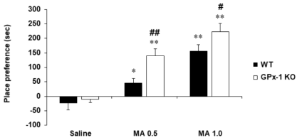 GPx-1 유전자 결핍 생쥐에서 메트암페타민에 의한 조건장소선호도의 변화. KO = 유전자 결핍. MA 0.5 or 1.0 = 메트암페타민 0.5 or 1.0 mg/kg, i.p. 각 수치는 8~10 마리의 평균 ± 표준오차임. *P<0.05, **P<0.01 vs. corresponding Saline; #P<0.05, ##P<0.01 vs. WT/ corresponding dose of MA (Two-way ANOVA followed by PLSD test)