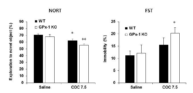 GPx-1 유전자 결핍 생쥐에서 코카인에 의한 인지기억능 저하와 우울증상의 변화. KO = 유전자 결핍. NORT = novel object recognition test. FST = forced swimming test. COC 7.5 = 코카인 7.5 mg/kg, i.p. 각 수치는 5~8 마리의 평균 ± 표준오차임. *P<0.05, **P<0.01 vs. corresponding Saline; #P<0.05, ##P<0.01 vs. WT/COC 7.5 (Two-way ANOVA followed by PLSD test)