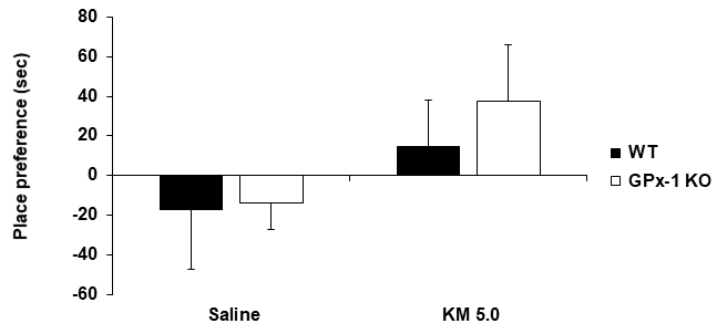 야생형 생쥐와 GPx-1 유전자 결핍 생쥐에서 케타민 투여 후 조건장소선호도의 변화. KO = 유전자 결핍. KM 5.0 = 케타민 5.0 mg/kg, i.p. 각 수치는 7~8 마리의 평균 ± 표준오차임. Two-way ANOVA