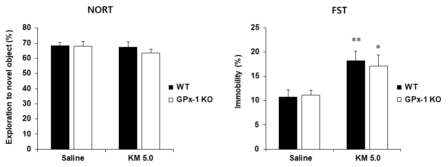 야생형 생쥐와 GPx-1 유전자 결핍 생쥐에서 케타민 투여 후 인지기억능과 우울증상의 변화. KO = 유전자 결핍. NORT = novel object recognition test. FST = forced swimming test. KM 5.0 = 케타민 5.0 mg/kg, i.p. 각 수치는 8 마리의 평균 ± 표준오차임. *P<0.05, **P<0.01 vs. corresponding Saline (Two-way ANOVA followed by PLSD test)