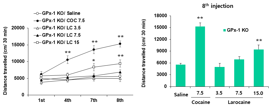 GPx-1 유전자 결핍 생쥐에서 larocaine (LC)에 의한 행동민감화의 변화. KO = 유전자 결핍. COC 7.5 = 코카인 7.5 mg/kg, i.p. 각 수치는 6 마리의 평균 ± 표준오차임. *P<0.05, **P<0.01 vs. Saline (One-way or two-way ANOVA followed by PLSD test)