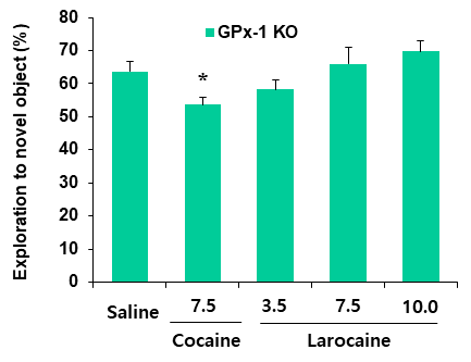 GPx-1 유전자 결핍 생쥐에서 larocaine에 의한 인지기억능의 변화. KO = 유전자 결핍. 각 수치는 6 마리의 평균 ± 표준오차임. *P<0.05, **P<0.01 vs. Saline (One-way ANOVA followed by PLSD test)