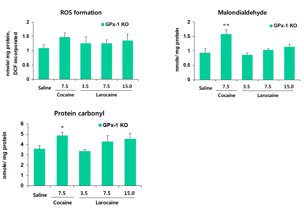 GPx-1 유전자 결핍 생쥐의 선조체에서 larocaine에 의한 산화적 스트레스 지표의 변화. KO = 유전자 결핍. 각 수치는 6 마리의 평균 ± 표준오차임. *P<0.05, **P<0.01 vs. Saline (One-way ANOVA followed by PLSD test)