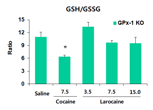 GPx-1 유전자 결핍 생쥐의 선조체에서 larocaine에 의한 GSH/GSSG의 변화. KO = 유전자 결핍. 각 수치는 6 마리의 평균 ± 표준오차임. *P<0.05 vs. Saline (One-way ANOVA followed by PLSD test)