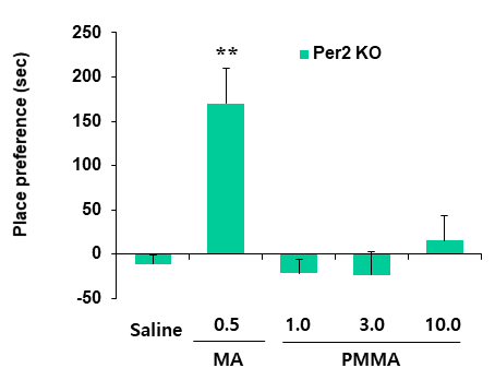 Per2 유전자 결핍 생쥐에서 PMMA에 의한 조건장소선호도의 변화. MA 0.5 = 메트암페타민 0.5 mg/kg, i.p. 각 수치는 6 마리의 평균 ± 표준오차임. *P<0.05, **P<0.01 vs. Saline (One-way ANOVA followed by PLSD test)