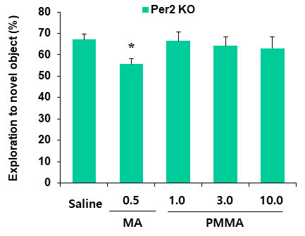 Per2 유전자 결핍 생쥐에서 PMMA에 의한 인지기억능의 변화. KO = 유전자 결핍. MA 0.5 = 메트암페타민 0.5 mg/kg, i.p. 각 수치는 6 마리의 평균 ± 표준오차임. *P<0.05 vs. Saline (One-way ANOVA followed by PLSD test)