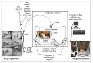 약물 자가 투여 시험(self-administration test; Howell, L.L. and Wilcox, K.M. (2001)